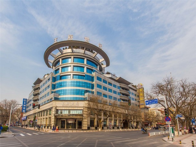 山东综合王向峰